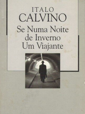 Se Numa Noite de Inverno um Viajante de Italo Calvino
