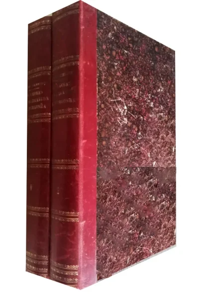 Os Amores de Margarida de Borgonha de Henrique Demesse