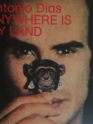 Anywhere is My Land
