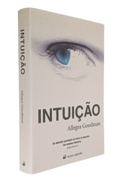 Intuição