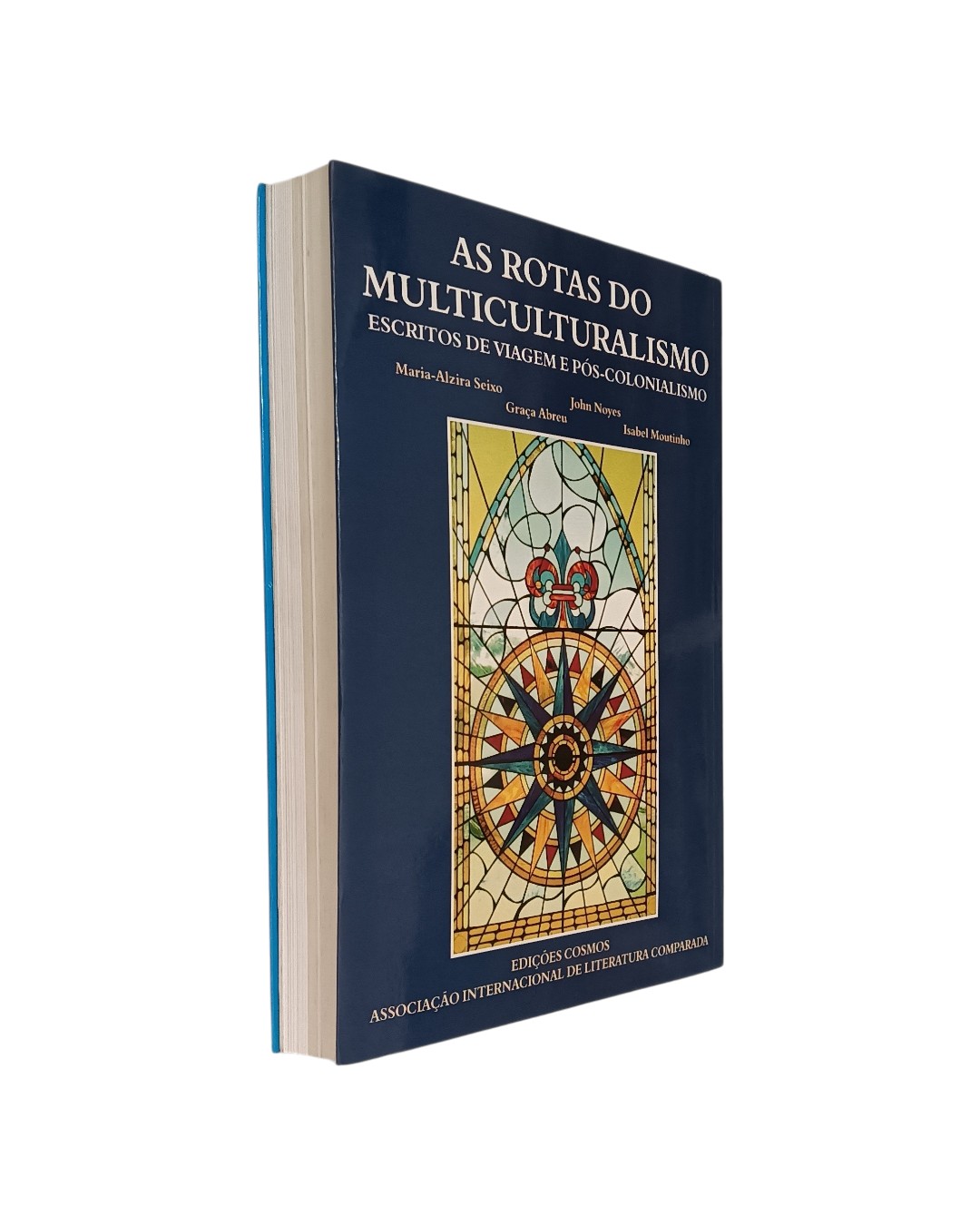 Paths of Multiculturalism de Maria Alzira Seixo