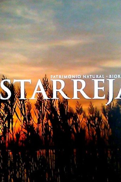 Estarreja de Rui Brito