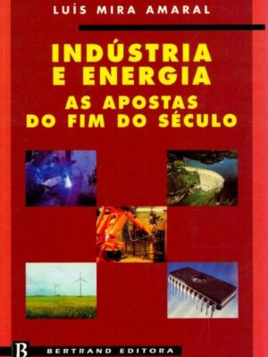 Indústria e Energia: As Apostas do Fim do Século de Luís Mira Amaral