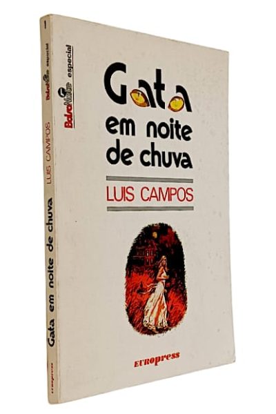 Gata em Noite de Chuva