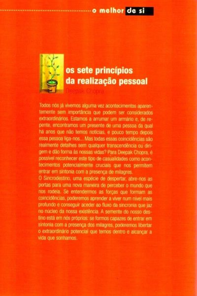 Sete Princípios da Realização Pessoal