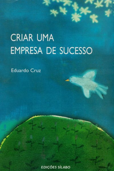 Criar uma Empresa de Sucesso