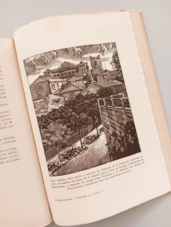 Peregrinações em Lisboa: Livro V - Image 5