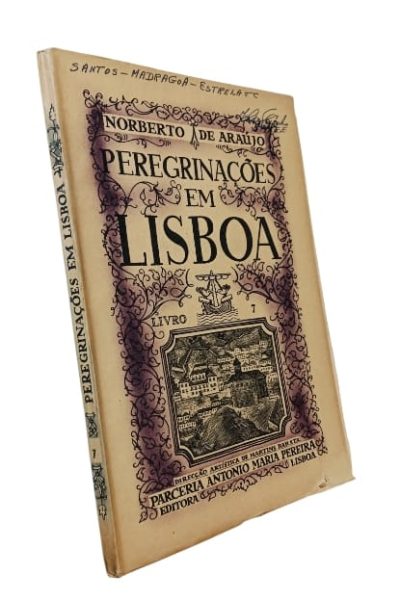 Peregrinações em Lisboa: Livro VII