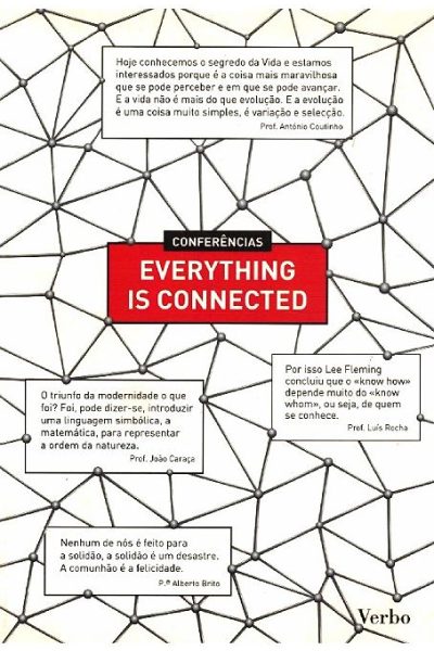 Everything is Connected de António Vieira Monteiro