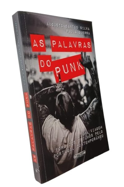 As Palavras do Punk de Augusto Santos Silva