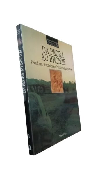 Da Pedra ao Bronze de Goran Burenhult