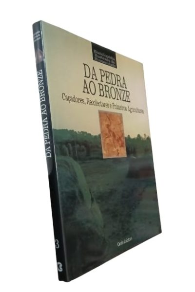 Da Pedra ao Bronze de Goran Burenhult