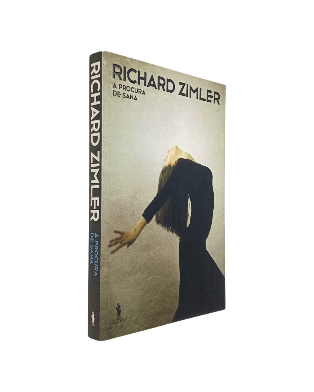 Procura de Sana de Richard Zimler (86)