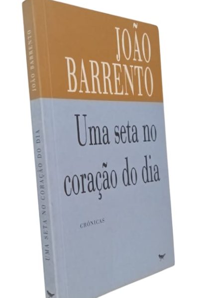 Uma Seta no Coração do Dia de João Barrento