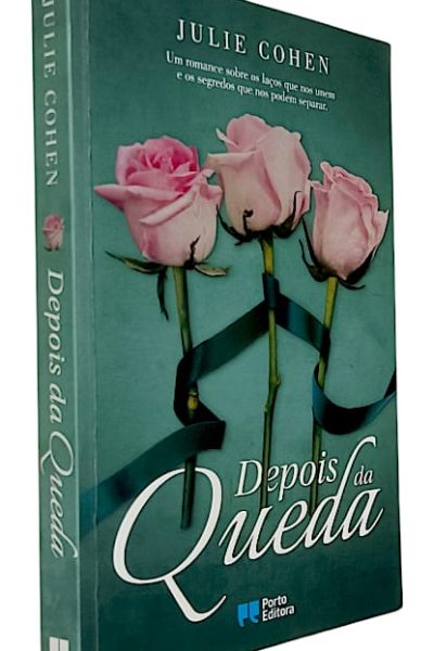 Depois da Queda de Julie Cohen