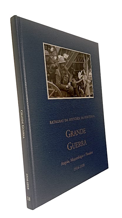 Grande Guerra de Aniceto Afonso