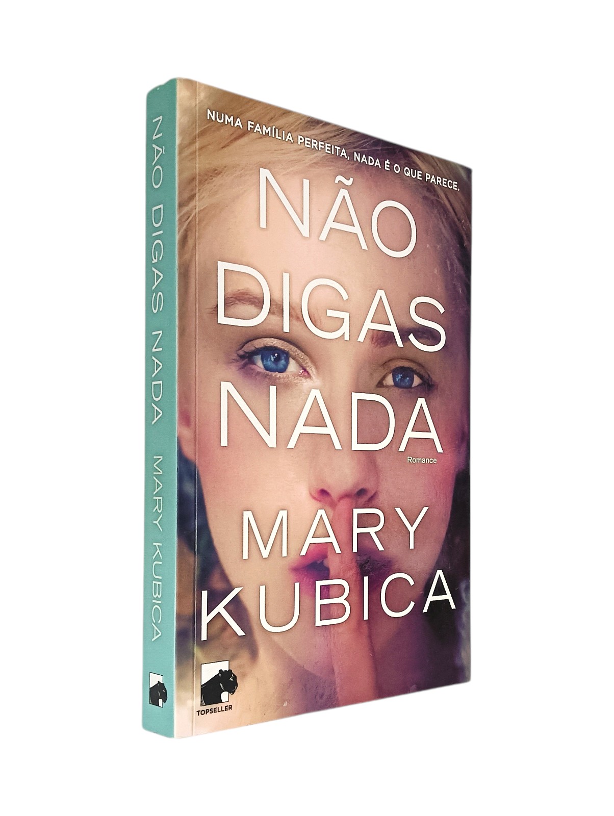 Não Digas Nada de Mary Kubica