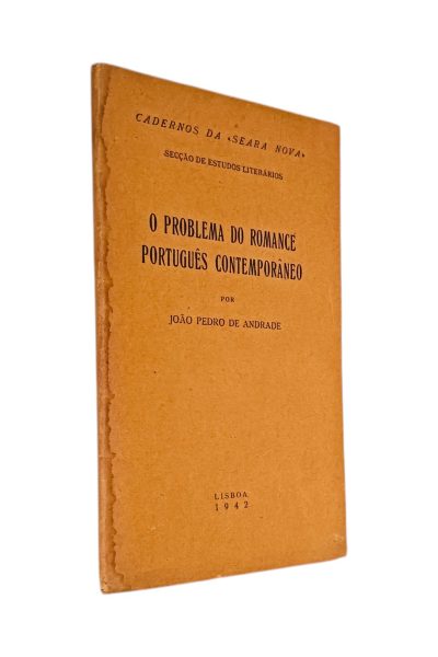 Problema do Romance Português Contemporâneo de João Pedro de Andrade