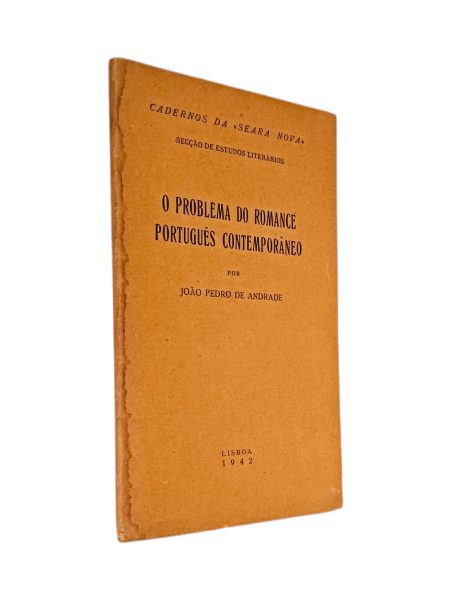 Problema do Romance Português Contemporâneo de João Pedro de Andrade