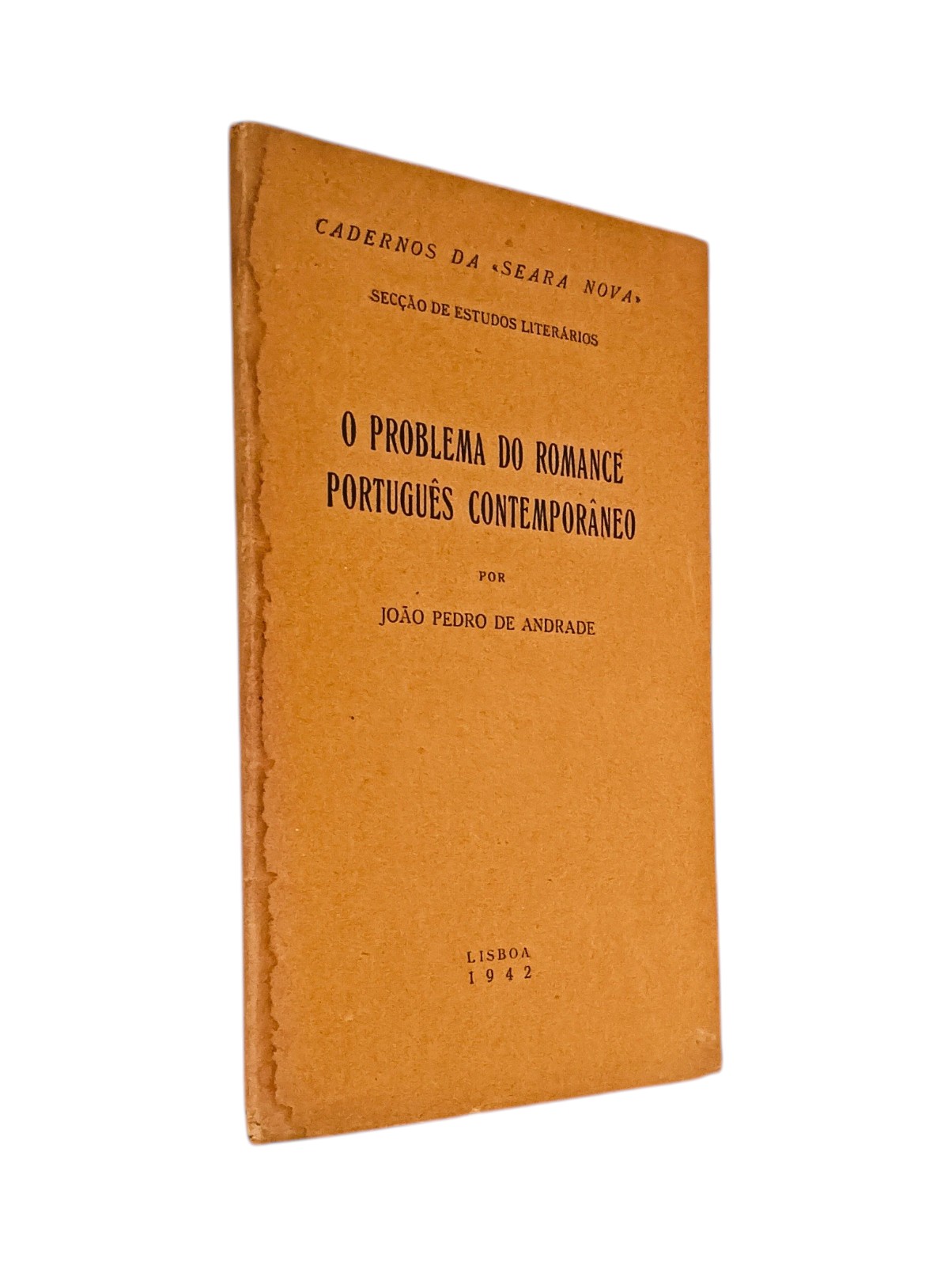 Problema do Romance Português Contemporâneo de João Pedro de Andrade