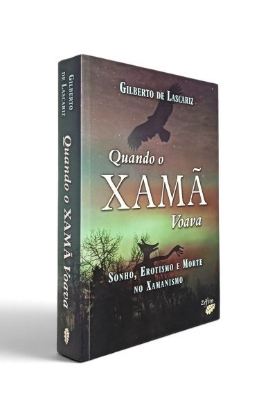 Quando o Xamã Voava de Gilberto de Lascariz