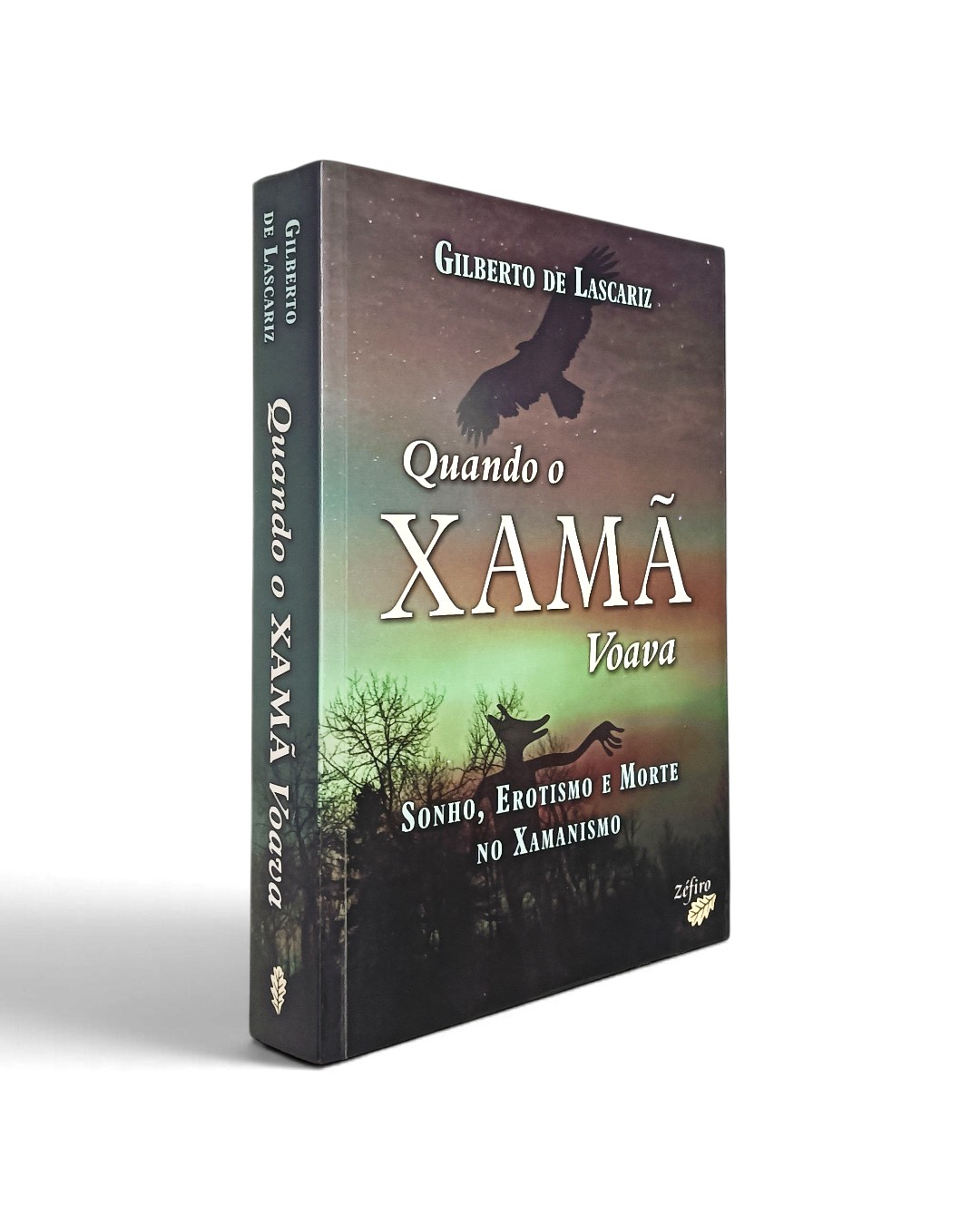 Quando o Xamã Voava de Gilberto de Lascariz